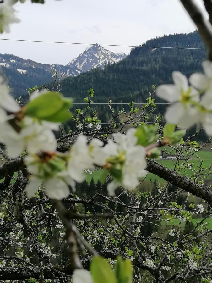 Ferienwohnung Weissacher Lend Bagian luar foto